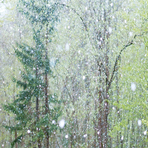 刘涛A1换脸一级毛片
