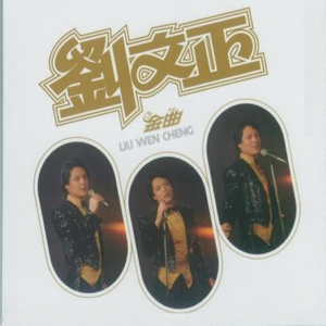 刘涛A1换脸一级毛片
