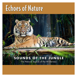 刘涛A1换脸一级毛片
